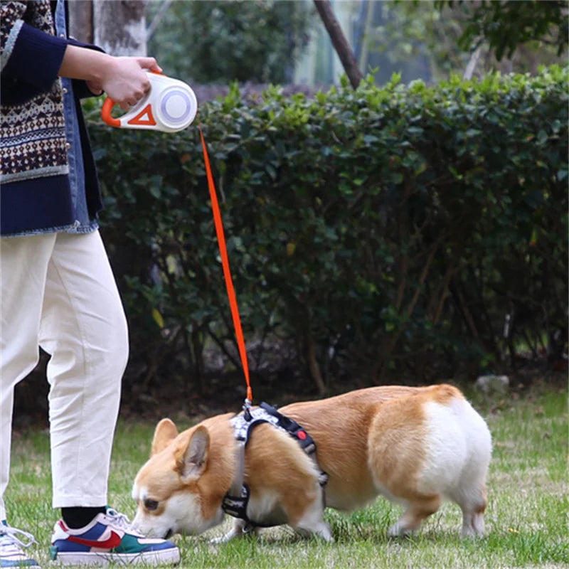 Booteely Retractable Dog Leash With LED Flashlight Nylon